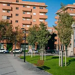 Lliri 32